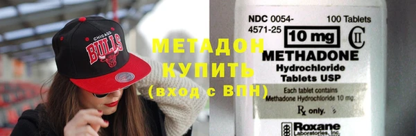 прущие грибы Аркадак